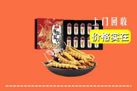 榆树市回收冬虫夏草